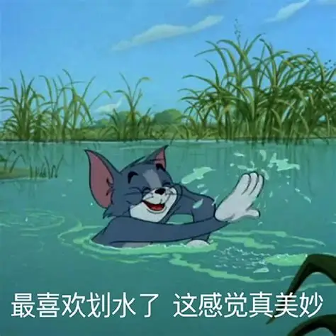 划水